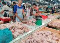 Ayam Potong yang Dijual oleh Pedagang di Pasar Bintan Center Tanjungpinang, foto: Mael/detak.media