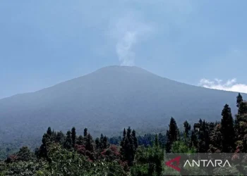 Arsip foto - Puncak Gunung Slamet terlihat dari Kawasan Wanawisata Baturraden, Kabupaten Banyumas, Rabu (13/10/2023). ANTARA/Sumarwoto/aa.