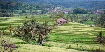 Suasana di Desa Wisata Jatiluwih di Kabupaten Tabanan, Bali, yang menjadi salah satu tujuan wisata yang ditawarkan kepada peserta World Water Forum ke-10 pada 18--25 Mei 2024. ANTARA/HO-Kemenparekraf/am.