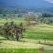 Suasana di Desa Wisata Jatiluwih di Kabupaten Tabanan, Bali, yang menjadi salah satu tujuan wisata yang ditawarkan kepada peserta World Water Forum ke-10 pada 18--25 Mei 2024. ANTARA/HO-Kemenparekraf/am.