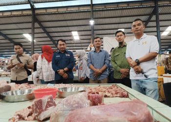 Penjabat (Pj) Walikota Tanjungpinang, Andri Rizal saat Melakukan Sidak Harga Bahan Pokok di Pasar Bincen, foto: Mael/detak.media