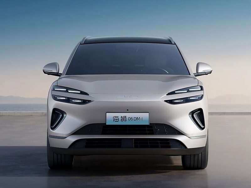 Performa Byd Sealion 06