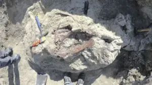 Ilmuwan Temukan Fosil Spesies Dinosaurus Baru dengan Tulang Buaya di Mulutnya
