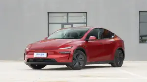 Tesla Model Y Long Range RWD Meluncur di China, Bisa Tempuh 821 Km Sekali Cas