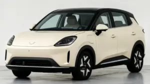 Wuling Binguo S Punya Varian Baru, Baterai 52,9 kWh Bikin Jarak Tempuh Tembus 525 Km