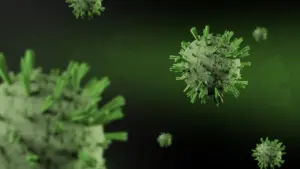 Misteri Hantavirus di Kapal Pesiar MV Hondius Berlanjut, Swiss Laporkan Kasus Baru