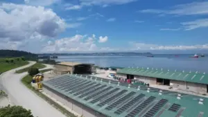 Pertamina Perluas Desa Energi Berdikari untuk Dorong Ekonomi dan Ketahanan Pangan