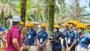 Anak Usaha TAPG Latih Petani Sawit Untuk Dukung Implementasi B50