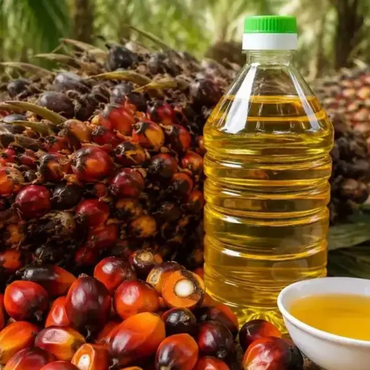 Kontrak CPO di Bursa Malaysia Naik Dipicu Ringgit Melemah dan Harga Minyak Dunia
