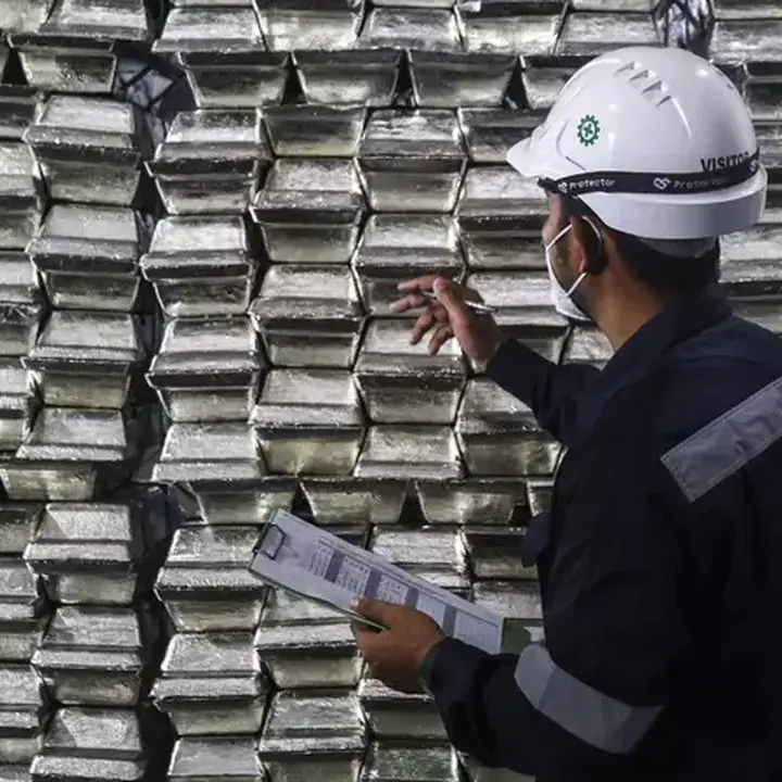 TINS Didorong Defisit Pasokan, Perusahaan Bidik Laba Melonjak